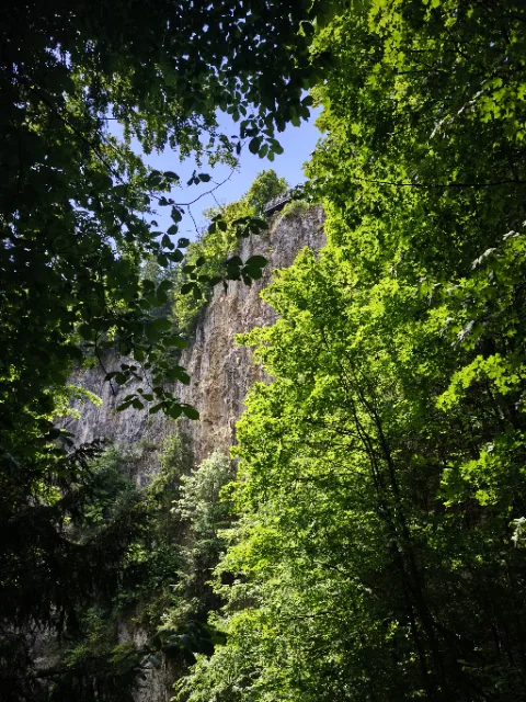 Výlet plný dobrodružství: Macocha 3 IMG 20250624 103955