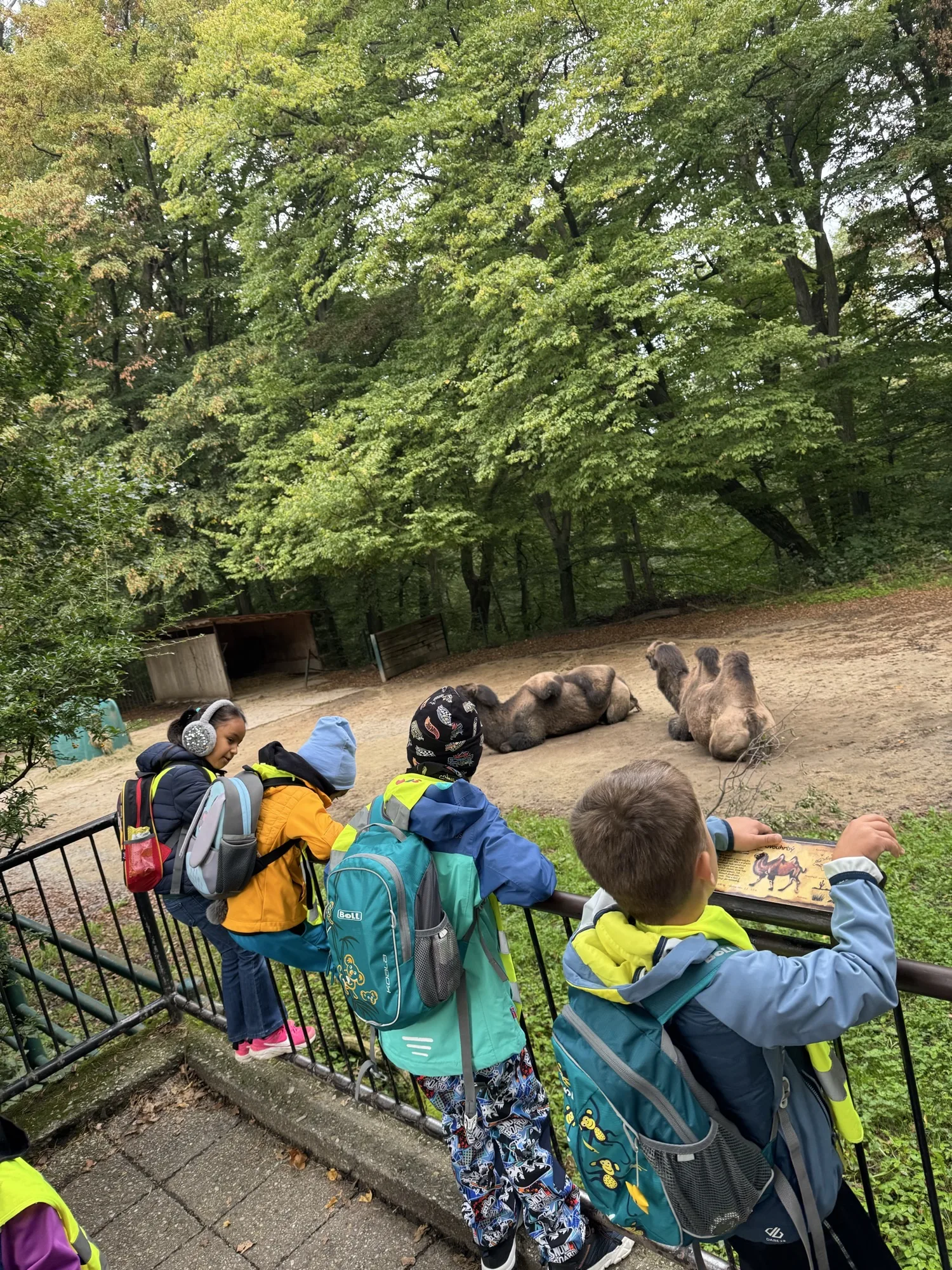 Naši předškoláci na výpravě v ZOO 8 Image 10