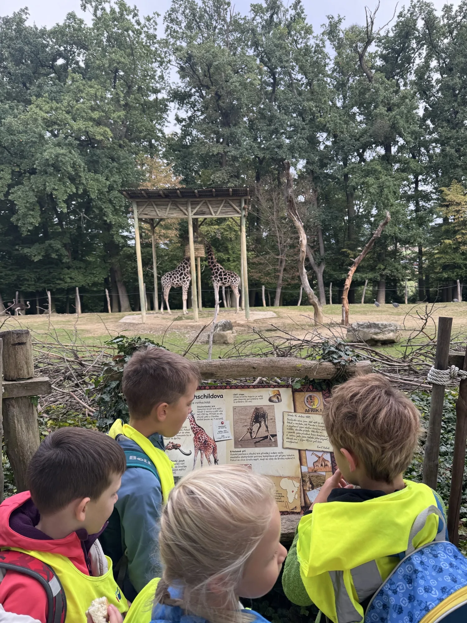 Naši předškoláci na výpravě v ZOO 9 Image 9