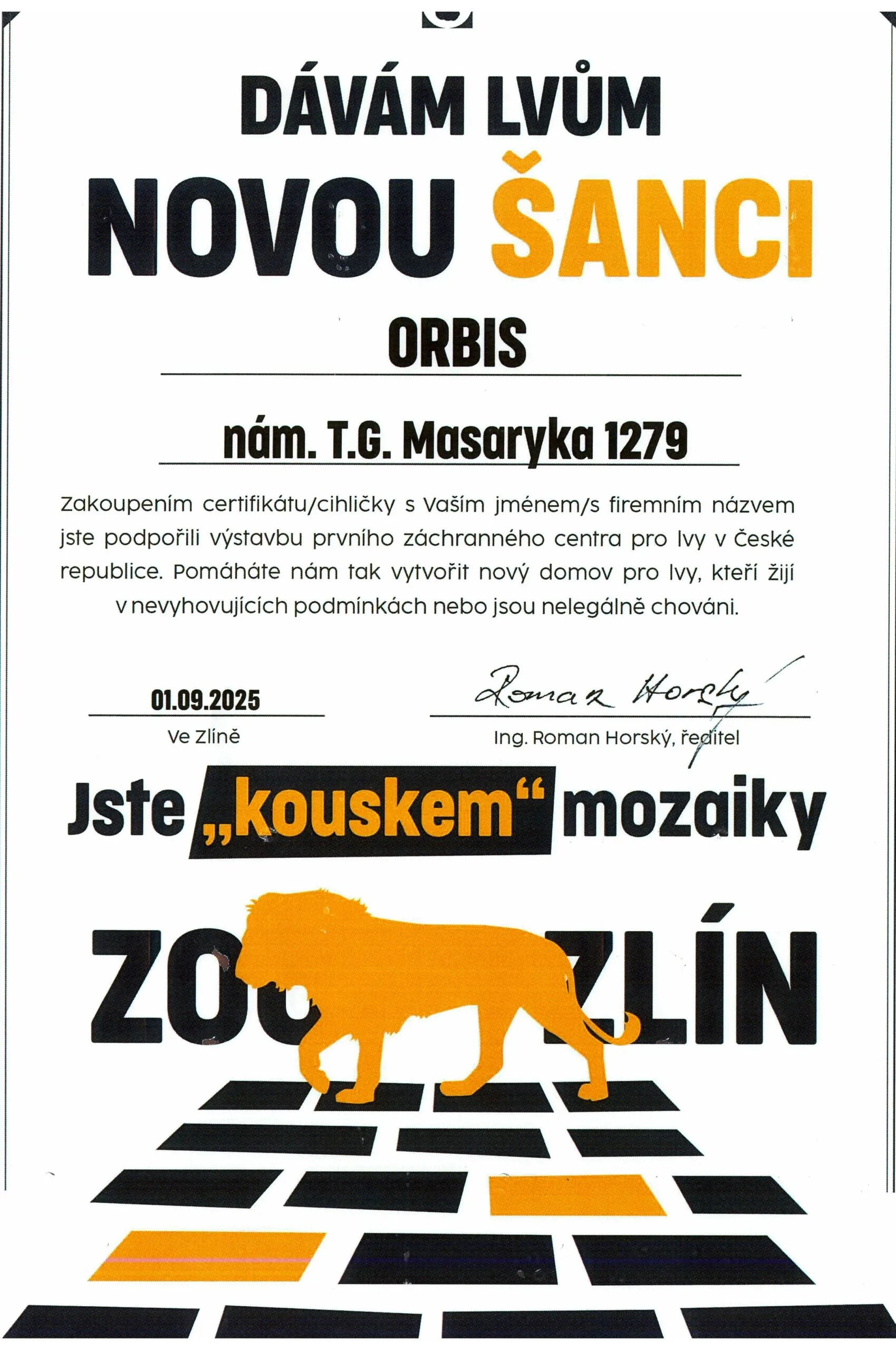 Dáváme lvům novou šanci 3 scan 3 scaled 1